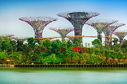 Gardens by the Bay
